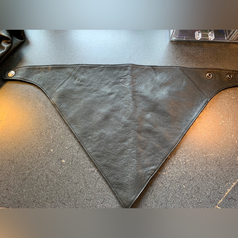 HarleyDavidson Chaps And Neck Scarf! Size Small Chap… Gem
